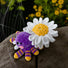 Daisy Spider Crochet Pattern