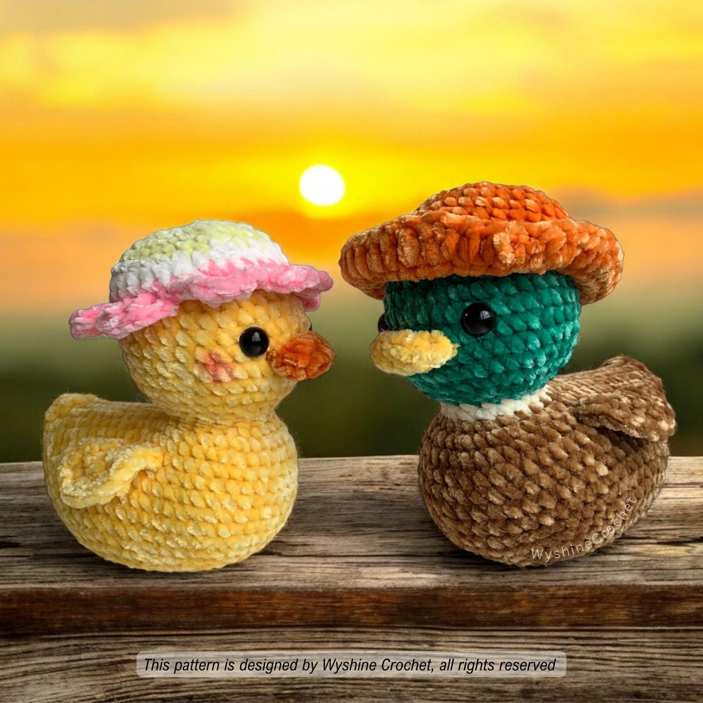 Rubber Duck Couple Crochet Pattern - Crochet Pattern